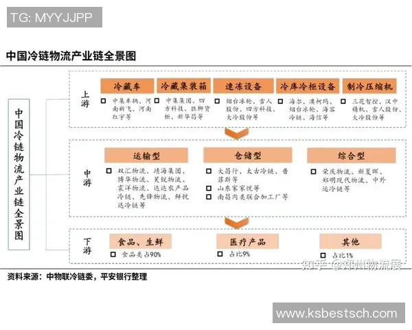 重庆足球队的节奏革新探索与实践全景分析
